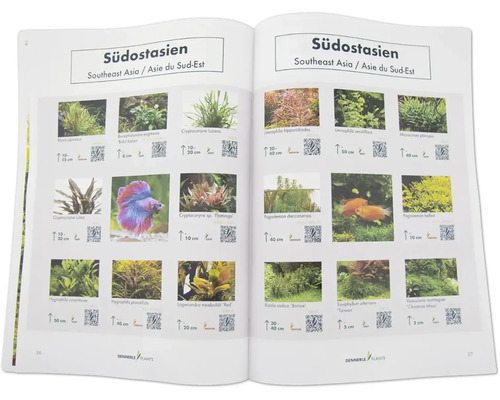Aufgeschlagenes Buch mit Illustrationen von Wasserpflanzen für Aquarien