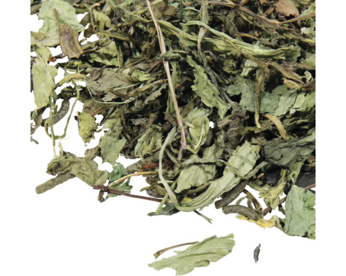 Getrocknete Minzblätter für Tee