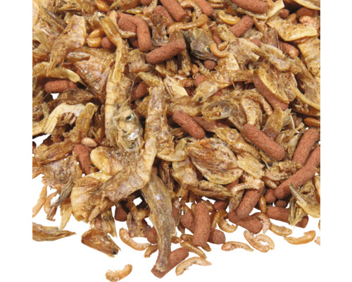 Nahaufnahme von Fischfutter mit Garnelen und Futtersticks