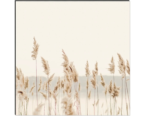 Dekoratives Wandbild mit Schilfgras-Motiv für Innenräume