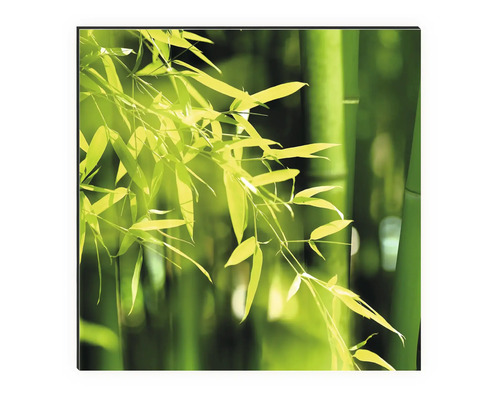 Bambus-Leinwandbild mit Bambusblättern