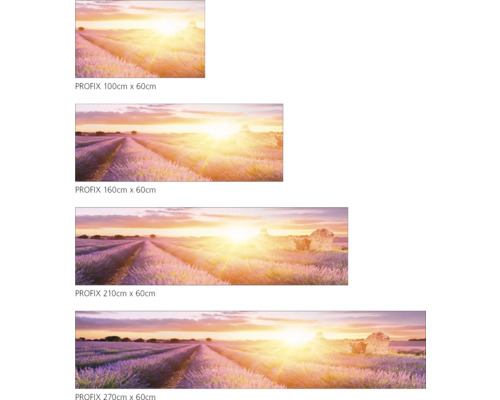 PROFIX Wandbild mit Lavendelfeld und Sonnenaufgang in verschiedenen Größen