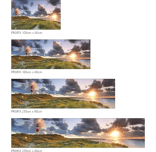Mehrere Leinwandbilder mit Landschafts- und Leuchtturmmotiven in verschiedenen Größen.