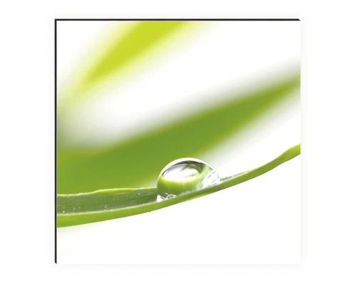 Fotografie einer Nahaufnahme eines Wassertropfens auf einem grünen Blatt