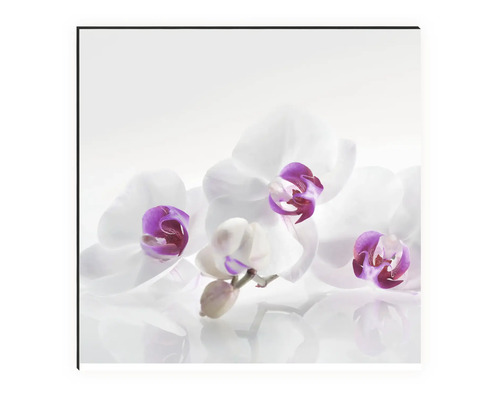 Dekoration mit weißen Orchideenblüten auf Leinwand