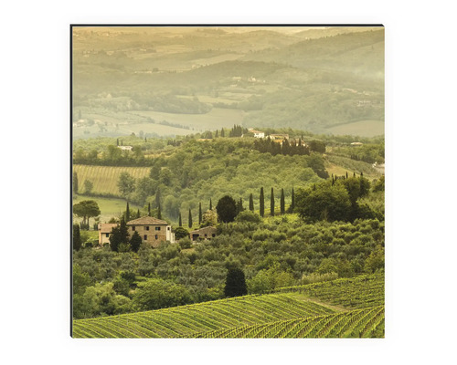 Gemälde einer toskanischen Landschaft mit Weinbergen und Häusern