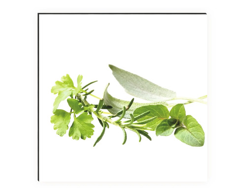 Verschiedene frische Kräuter wie Petersilie, Rosmarin, Salbei und Oregano