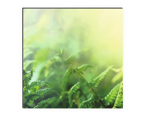 Nahaufnahme von Farnen auf Leinwand