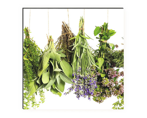 Mehrere Kräuterbündel hängen an einer Schnur.