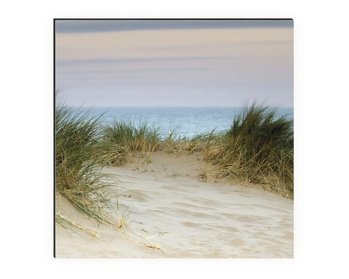 Wandbild mit einem Motiv von Sand, Gras und Meer