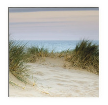 Wandbild mit Dünenlandschaft, Gras und Meerblick