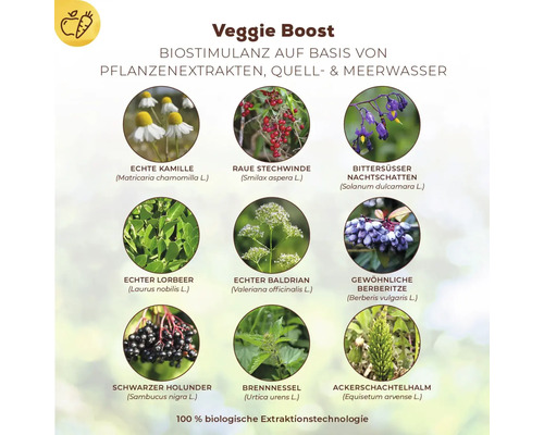 Veggie Boost mit Pflanzenextrakten: Echte Kamille, Raue Stechwinde, Bittersüßer Nachtschatten, Echter Lorbeer, Echter Baldrian, Gewöhnliche Berberitze, Schwarzer Holunder, Brennnessel, Ackerschachtelhalm