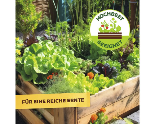 Hochbeet bepflanzt mit Salat und Gemüse, geeignet für eine reiche Ernte