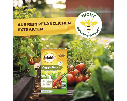 Solabiol Veggie Boost Pflanzenextrakt für einen gesunden Gemüsegarten mit Hinweis aus rein pflanzlichen Extrakten und Symbol nicht bienengefährlich