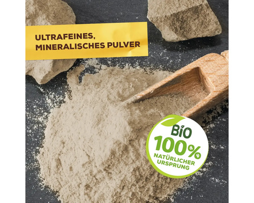 Mineralisches Puder mit Holzschaufel und Bio Siegel