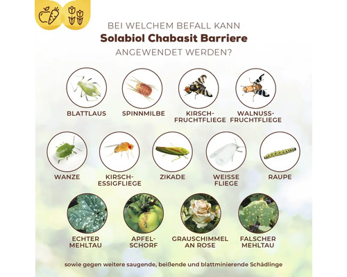 Pflanzenstärkung Solabiol Chabasit Barriere 400 g hält Schädlinge auf Abstand, mechanischer Schutz vor Schädlingen und Pilzkrankheiten, schützt vor thermischen Stress