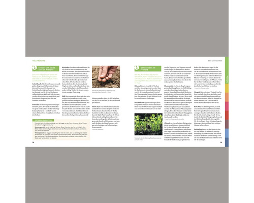 Doppelseite einer Broschüre mit Informationen zum Anbau von Kräutern und Gemüse