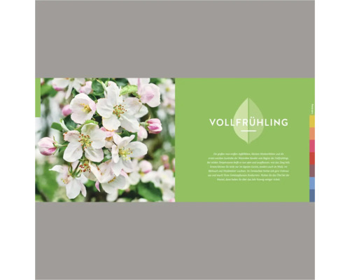 Illustration zum Thema Vollfrühling mit Apfelblüten