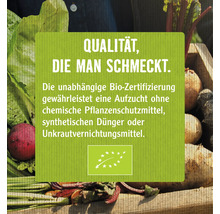 Bio-Weizensamen für Grünsprossen- & Keimsprossen-Anzuchtset, 3 Stk-thumb-4
