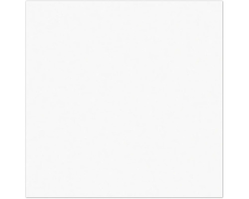 Weißer Hintergrund.