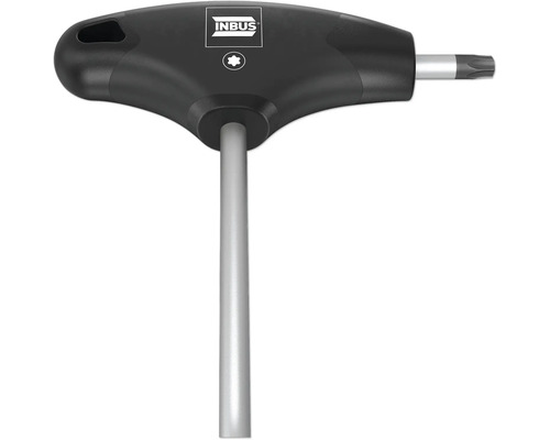 Inbus T-Griff Schraubendreher mit Torx Profil