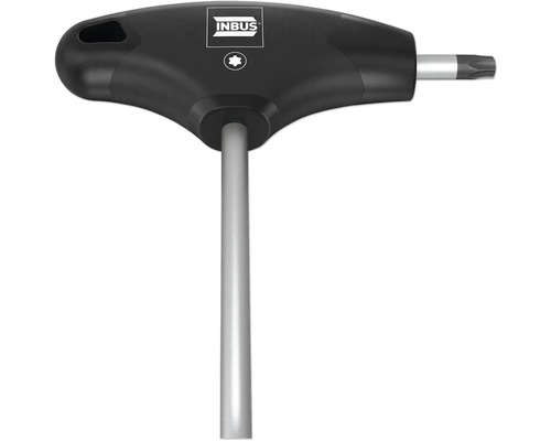 Inbus Logo. T-Griff Schraubendreher mit Torx Profil