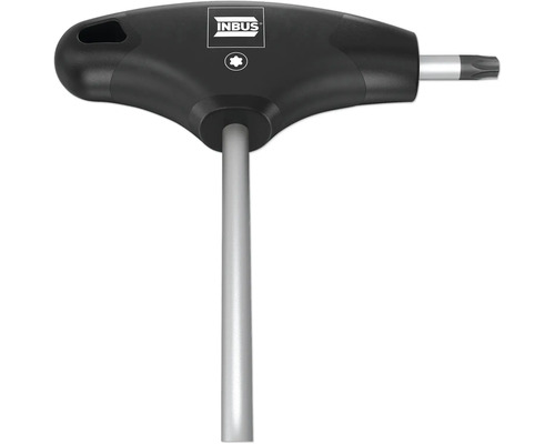 Inbus T-Griff-Schraubendreher mit Torx Profil