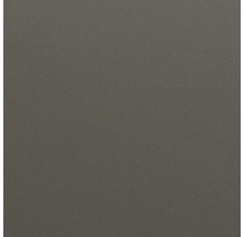 Spüle Blanco ETAGON 6-F 591 x 501 mm vulkangrau 527677