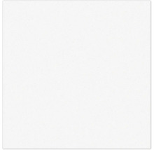 Spüle Blanco ADIRA 6 S-F 990 x 490 mm weiß 527613