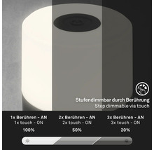 Tischleuchte mit Touchdimmer zur Steuerung der Helligkeit