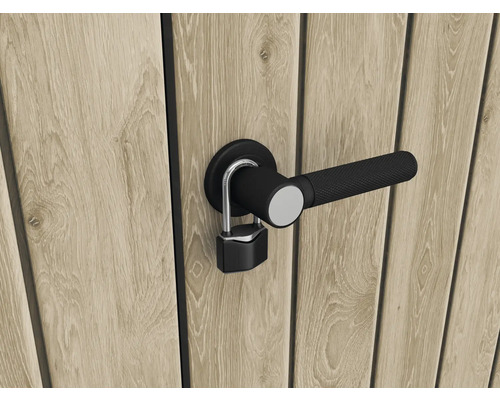 Holztür mit schwarzem Türgriff und Vorhängeschloss