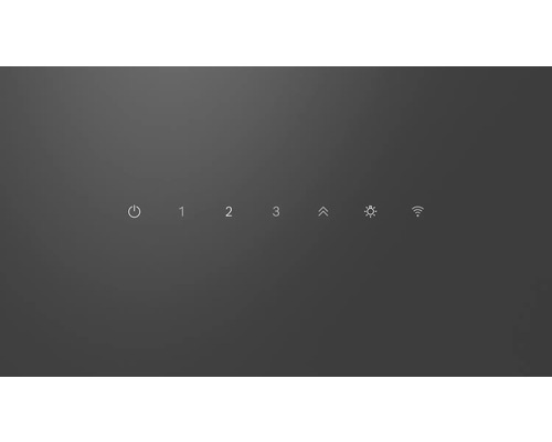 Symbole für Ein- und Ausschalten, Geschwindigkeitsstufen, Helligkeit und WLAN