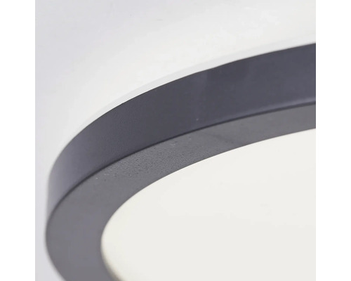 Detailaufnahme einer runden Deckenleuchte mit dunklem Rahmen