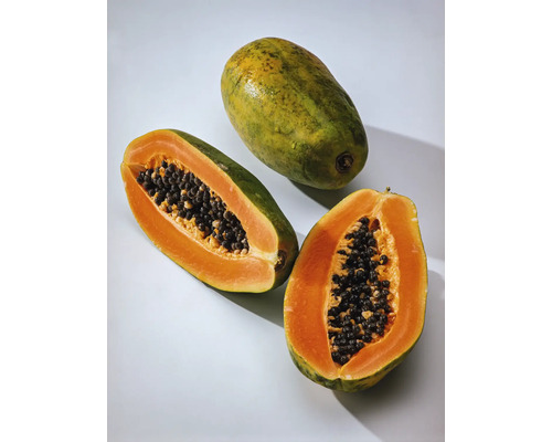 Bio Papaya FloraSelf Bio Carica papaya 'Sunnybees®' Stammhöhe ca. 60 cm Co 3 L Ganze und halbe Papaya mit Kernen