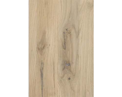 Nahaufnahme einer Holzplatte aus Eiche mit Maserung