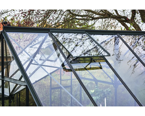 Detailansicht eines Gewächshauses mit geöffnetem Fenster zur Belüftung