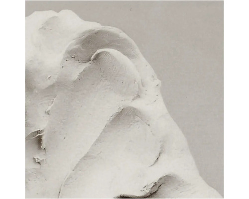 Nahaufnahme von Modellierpaste