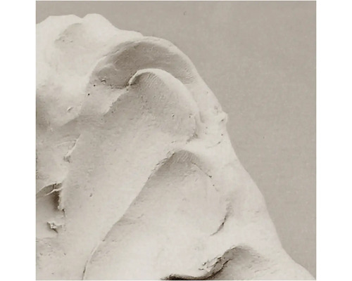 Nahaufnahme von Spachtelmasse