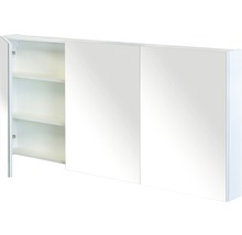 Geöffneter Spiegelschrank mit Regalböden