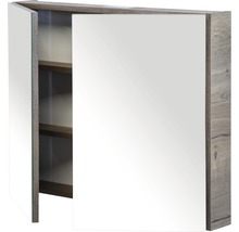 Spiegelschrank mit Regalböden und einer offenen Tür