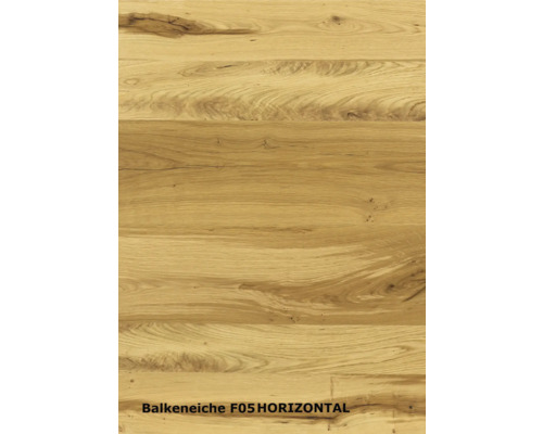 Balkeneiche F05 horizontal