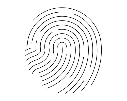 Abbildung eines Fingerabdrucks