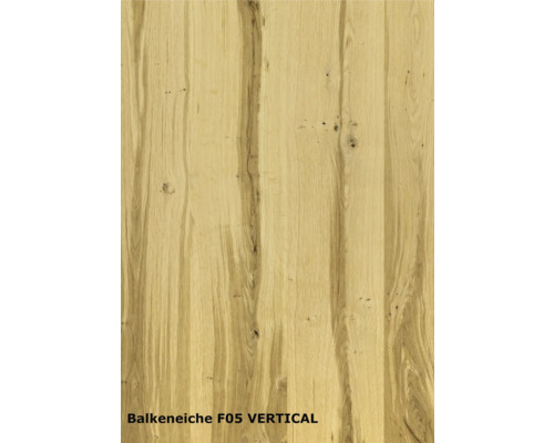 Balkeneiche F05 VERTICAL