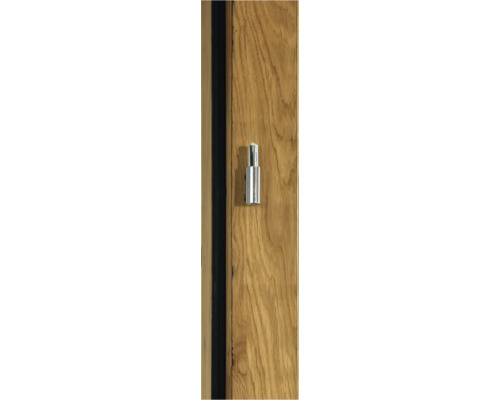 Ganzglastürbeschlag an Holztür