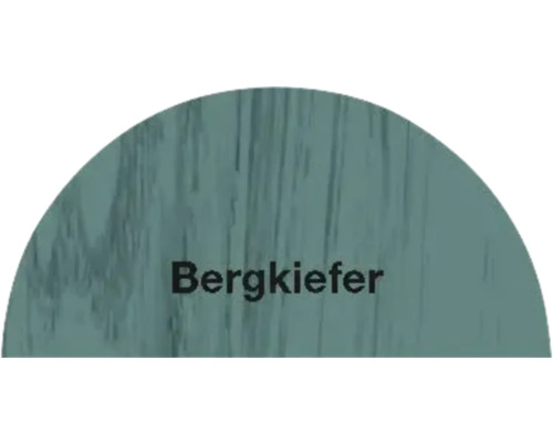 Bergkiefer Farbton