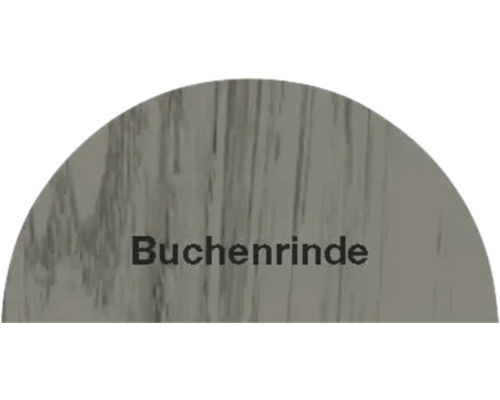 Buchenrinde