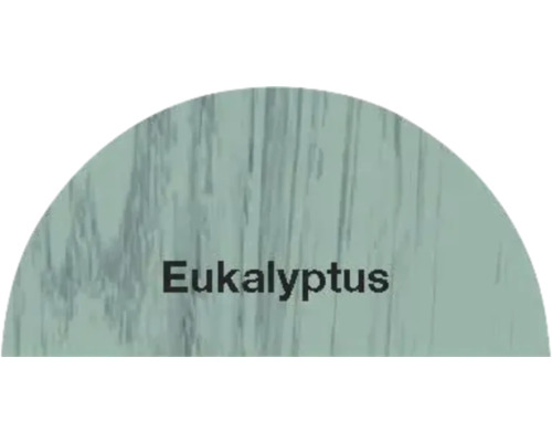 Eukalyptus