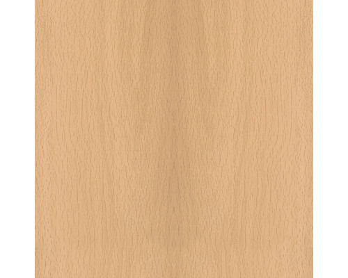Holzstruktur Buche