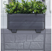 Grauer Pflanzkasten mit grünen Pflanzen an einer Wand