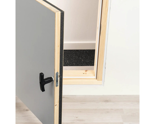 Geöffnete Revisionstür mit Griff